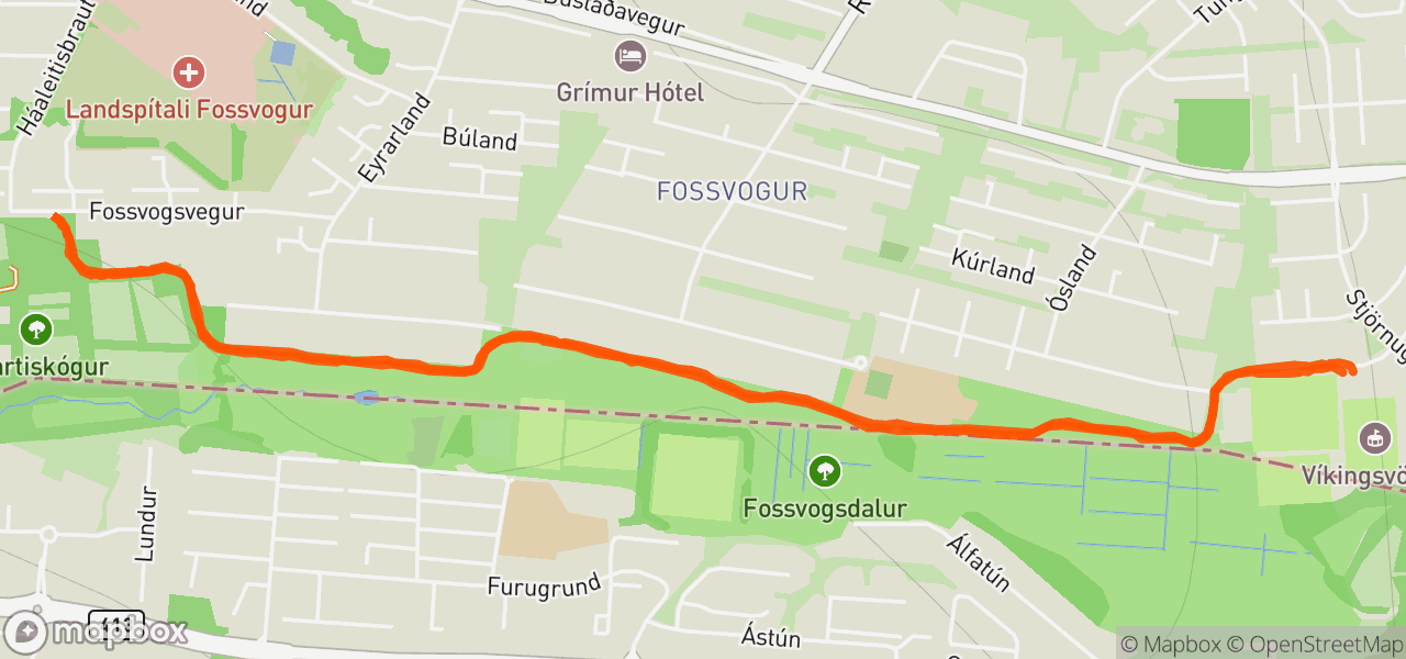 Route map for Night Run